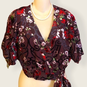 NWT Magnolia‎ South Lizard Thicket top that ties